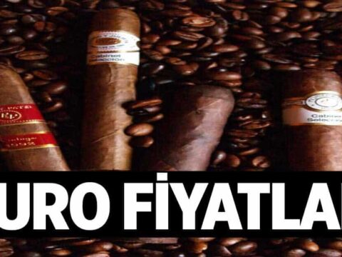 Puro Fiyatlari 1024x622EPf.jpg