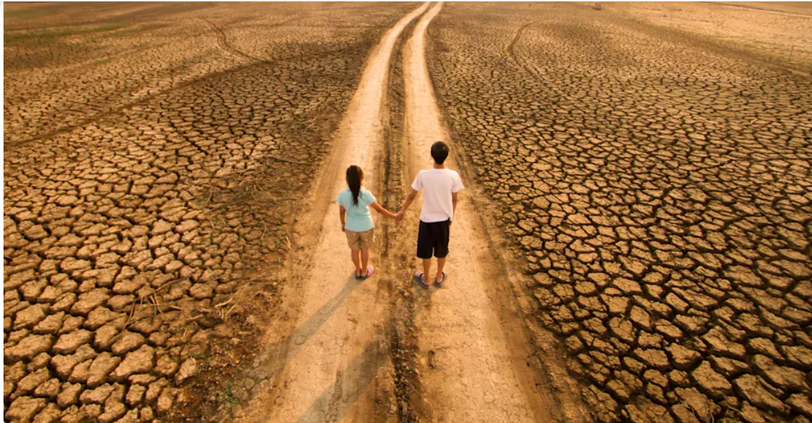 dunya ekonomisi icin korkutan uyari yuzde 24 kuculebilir Hi2t8mtT.png