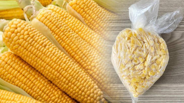 misiri catalla siyir hasla dondurucuya at 12 ay tazecik kaliyor 5QP4f4sh.jpg