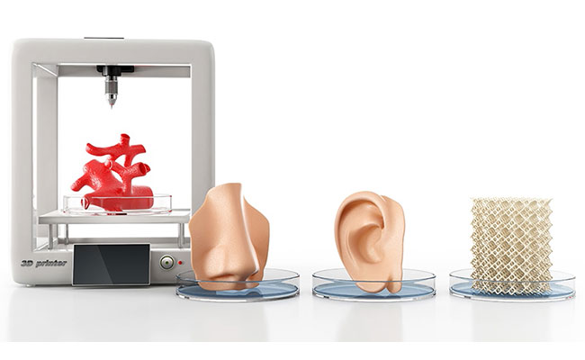 Doku Mühendisliği ve 3 Boyutlu Bioyazıcı Teknolojisi