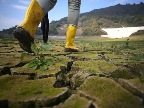 Tarım ve Orman Sektöründe Yenilikçi Düzenlemeler İçin Kanun Teklifi Komisyona Sunuldu