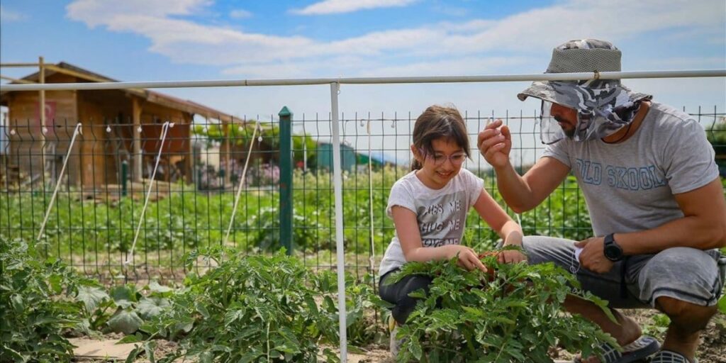 nisan-bitmeden-ekin-butun-yaz-yiyin-20-gunde-sebze-veriyor-pRwQYIlU