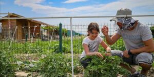 nisan-bitmeden-ekin-butun-yaz-yiyin-20-gunde-sebze-veriyor-pRwQYIlU