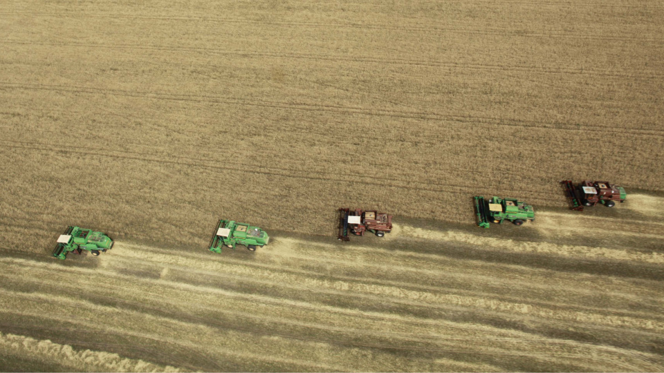 rusyanin-bugday-ihracati-ilk-ceyrekte-yuzde-14-artti-cfp38maR