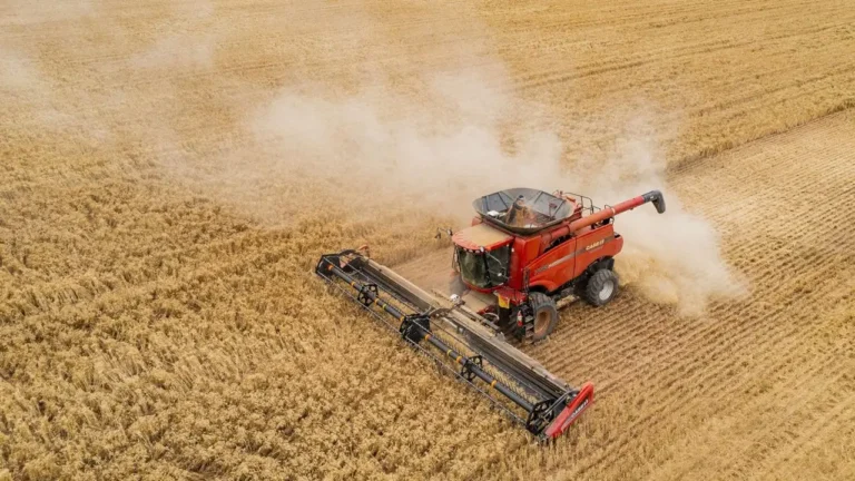 gida-enflasyonunun-oncu-gostergesi-alarm-veriyor-sebzede-uretici-fiyatlari-ikiye-katlandi-O1MIjbFz