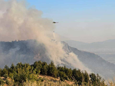 Denizlideki orman yangini 14 saatte kontrol altina alindi dOaEiRKi